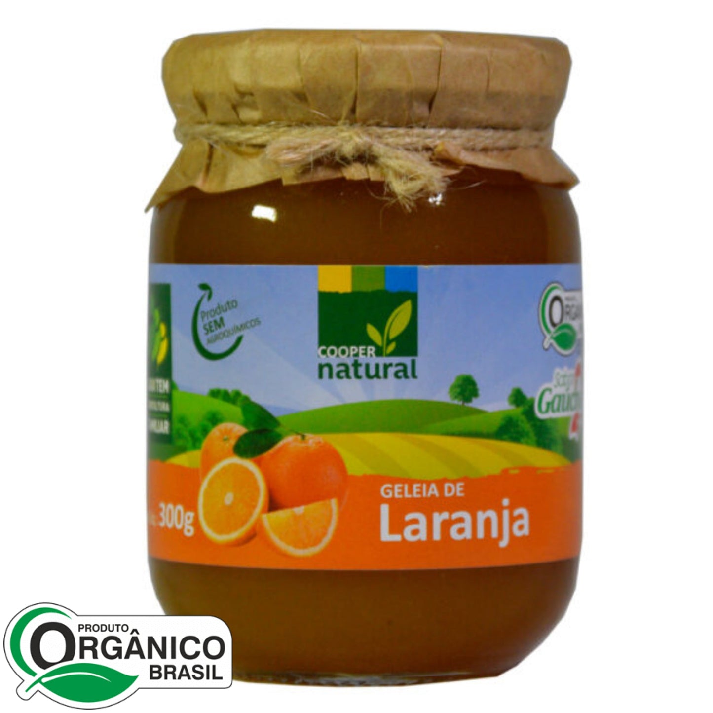 Geléia de Laranja 300g - Coopernatural