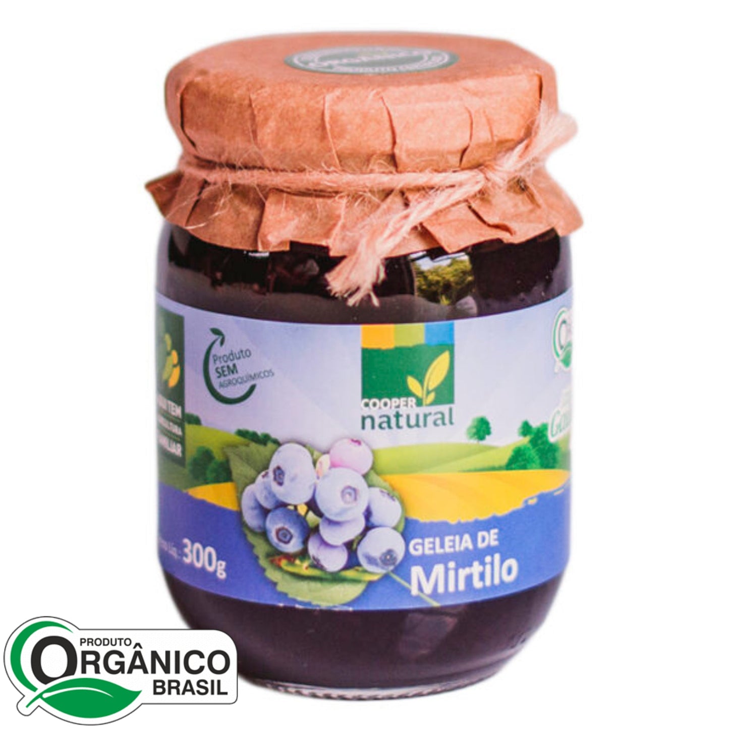 Geléia de Mirtilo 300g - Coopernatural