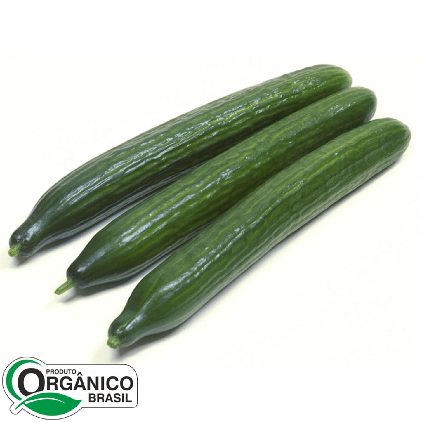 Pepino Japonês 500g (aprox. 2 unidades)