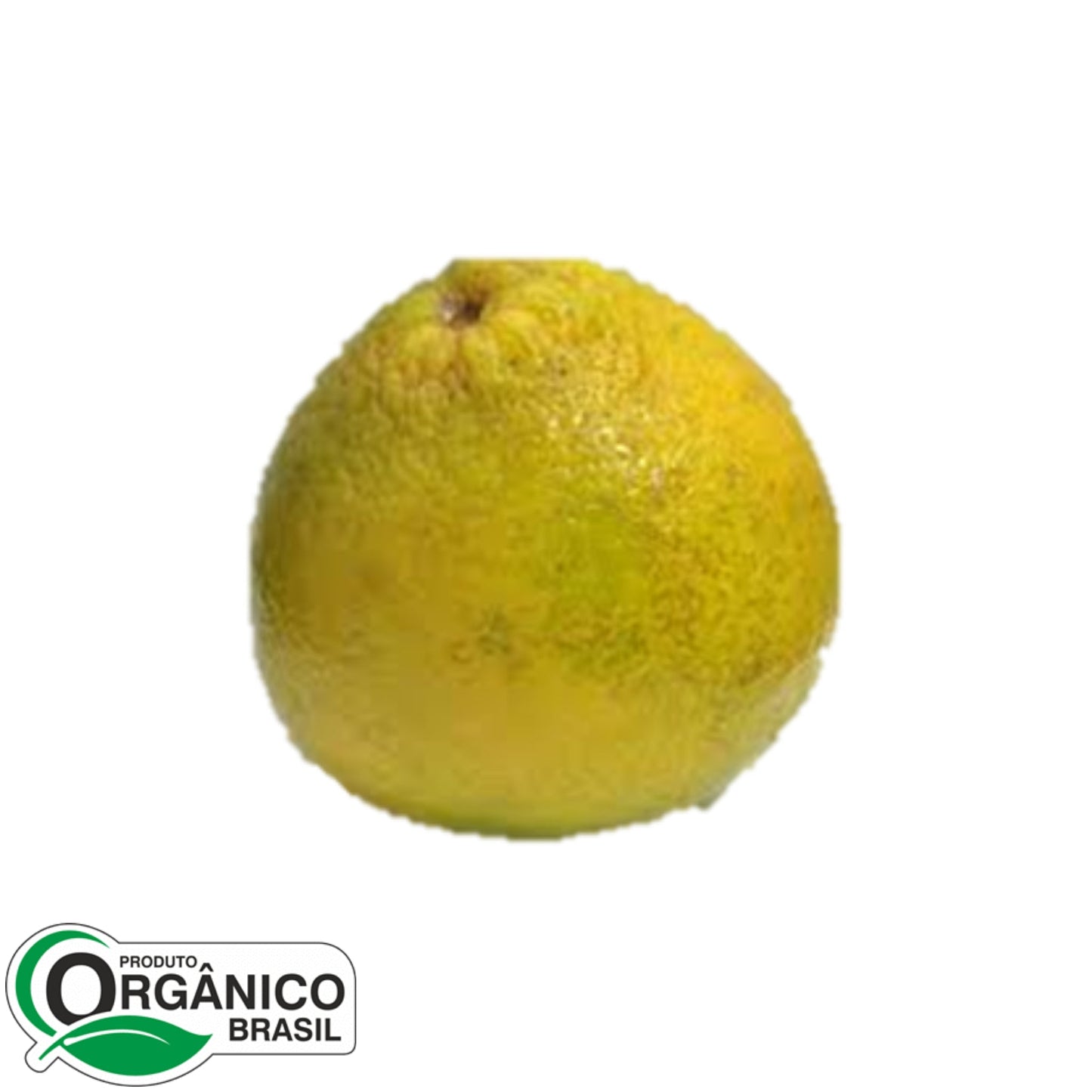 Laranja Champanhe 1kg