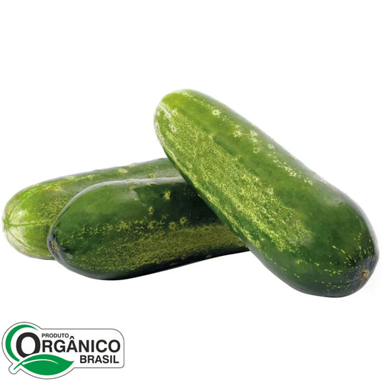 Pepino Caipira 500g (aprox. 2 unidades)